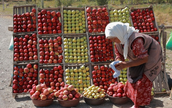 Мировые цены на продукты рекордно снизились - ООН Мировые цены на продукты рекордно снизились - ООН