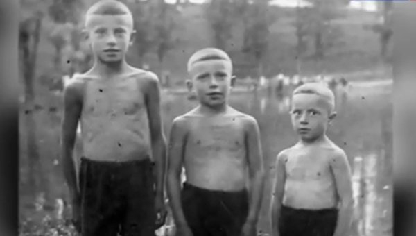 Молекула памяти: Воспоминания о послевоенном Харькове Молекула памяти: Воспоминания о послевоенном Харькове