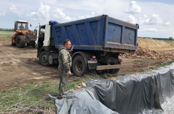 На Полтавщине в поле закопали 600 тысяч трупов кур