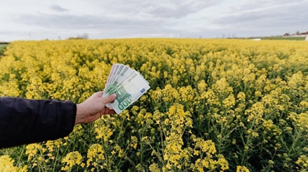 На Украине объявлен крестовый поход против «земельных махинаторов» На Украине объявлен крестовый поход против «земельных махинаторов»