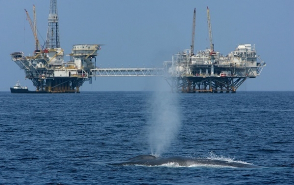 Нефть дешевеет на ожиданиях от встречи ОПЕК+ Нефть дешевеет на ожиданиях от встречи ОПЕК+