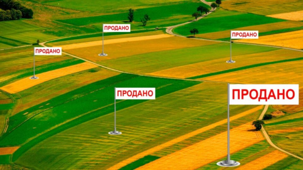 Открытие рынка земли: алгоритм продажи участка Открытие рынка земли: алгоритм продажи участка