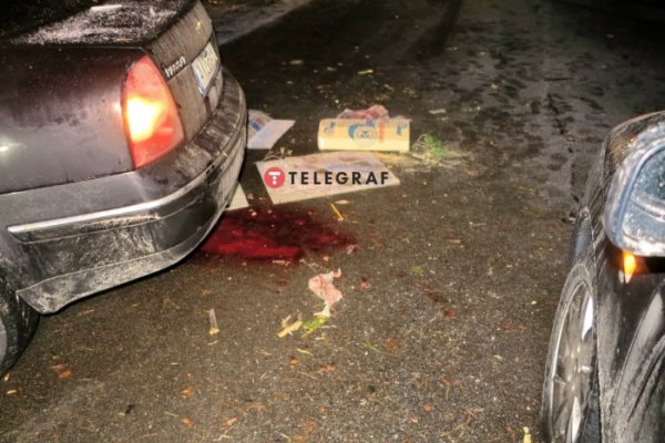 Под Киевом дерево упало на авто и вызвало ДТП: у пострадавшего оторвало ногу Под Киевом дерево упало на авто и вызвало ДТП: у пострадавшего оторвало ногу