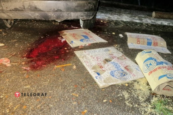 Под Киевом дерево упало на авто и вызвало ДТП: у пострадавшего оторвало ногу Под Киевом дерево упало на авто и вызвало ДТП: у пострадавшего оторвало ногу