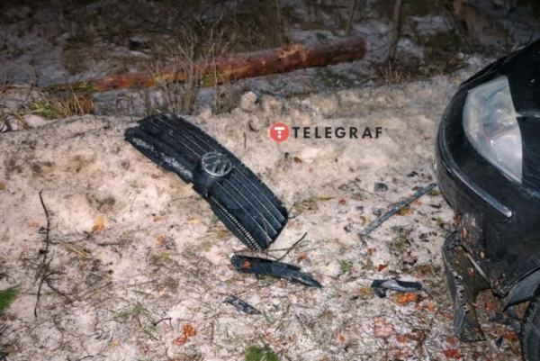Под Киевом дерево упало на авто и вызвало ДТП: у пострадавшего оторвало ногу Под Киевом дерево упало на авто и вызвало ДТП: у пострадавшего оторвало ногу