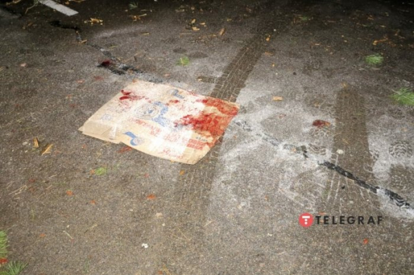 Под Киевом дерево упало на авто и вызвало ДТП: у пострадавшего оторвало ногу Под Киевом дерево упало на авто и вызвало ДТП: у пострадавшего оторвало ногу