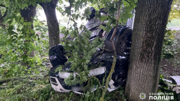 Подростки на BMW влетели в дерево: автомобиль перевернулся Подростки на BMW влетели в дерево: автомобиль перевернулся