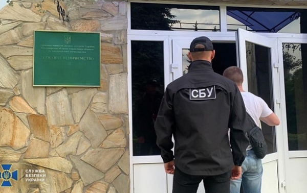 СБУ обнаружила масштабную вырубку лесов СБУ обнаружила масштабную вырубку лесов