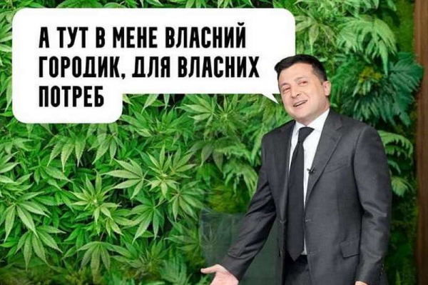Соцсети высмеяли «джунгли» в кабинете Зеленского Соцсети высмеяли «джунгли» в кабинете Зеленского