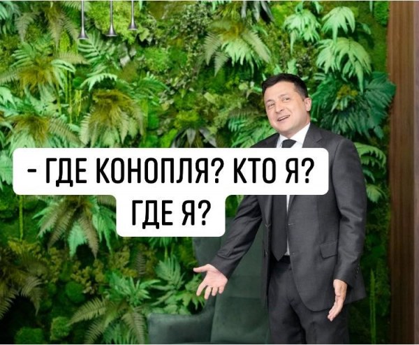 Соцсети высмеяли «джунгли» в кабинете Зеленского Соцсети высмеяли «джунгли» в кабинете Зеленского