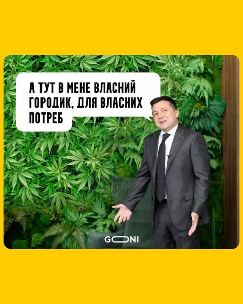 Соцсети высмеяли «джунгли» в кабинете Зеленского Соцсети высмеяли «джунгли» в кабинете Зеленского