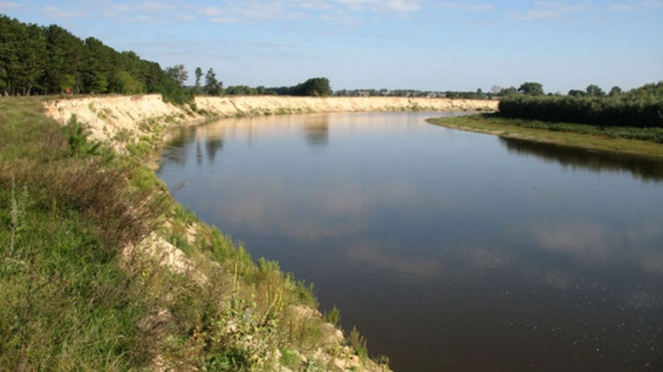 Уровень воды в Десне упал до минимума за 140 лет Уровень воды в Десне упал до минимума за 140 лет