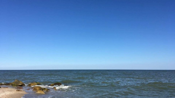 В Азовском море спасли двух детей, которых унесло от берега штормом В Азовском море спасли двух детей, которых унесло от берега штормом