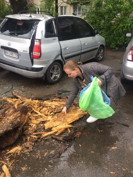 В Киеве на авто внезапно упал тополь