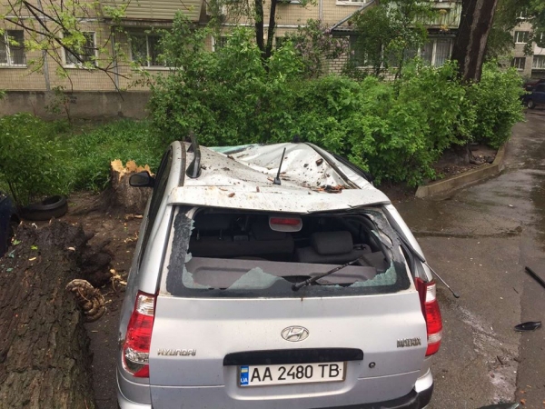 В Киеве на авто внезапно упал тополь