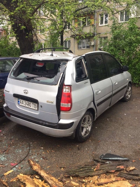 В Киеве на авто внезапно упал тополь