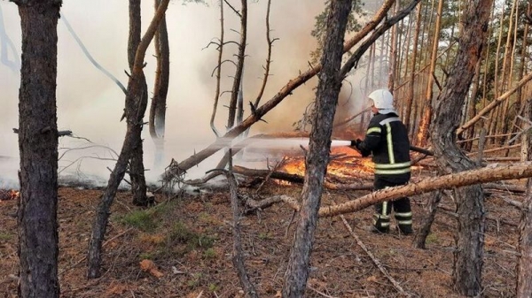 В Луганской области из-за поджога возник новый очаг пожара В Луганской области из-за поджога возник новый очаг пожара