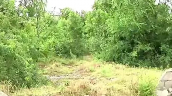 В Никополе 15-летнего парня подозревают в убийстве сверстницы В Никополе 15-летнего парня подозревают в убийстве сверстницы