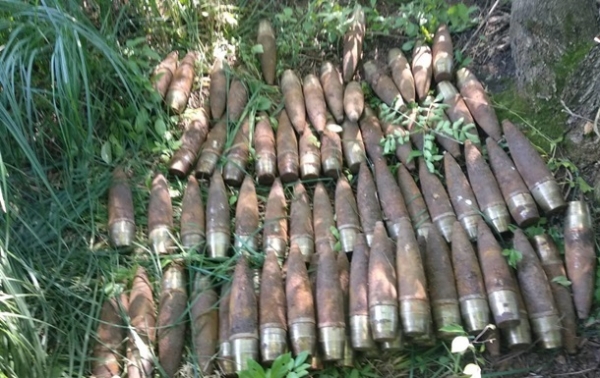 В Винницкой области в парке нашли более 700 снарядов В Винницкой области в парке нашли более 700 снарядов