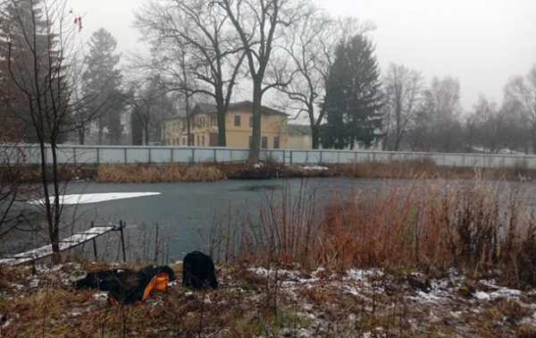 В Житомире тела двух пропавших студентов нашли в водоеме В Житомире тела двух пропавших студентов нашли в водоеме