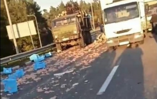 В Житомирской области в ДТП попали три грузовика: по дороге разлетелось мясо В Житомирской области в ДТП попали три грузовика: по дороге разлетелось мясо